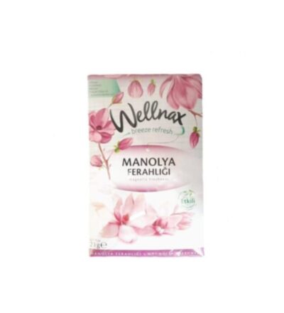 WELLNAX DOLAP VE ÇEKMECE KOKUSU 21 GR MANOLYA FERAHLIĞI 1*24