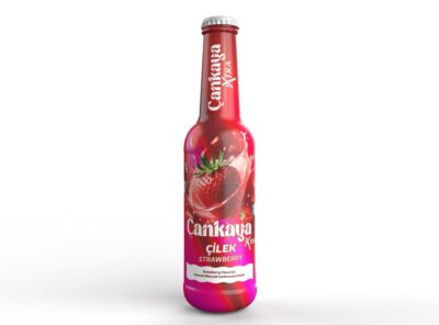 ÇANKAYA EKSTRA 250 ML ÇİLEK 1*24