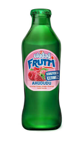 ULUDAĞ FRUTTİ MEYVELİ MADEN SUYU 200 ML AHUDUDU 1*24